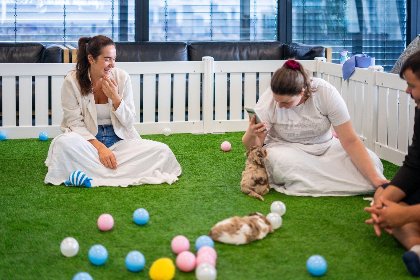 Two people playing with puppies and taking photos.